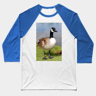 Canada Goose Canadian Geese Wild Bird Baseball T-Shirt